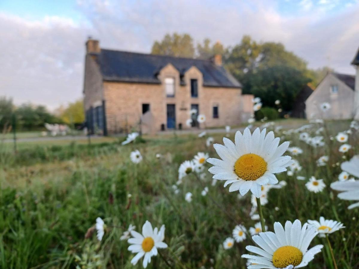 Au Petit Bonheur De Claire Et Jo Bed and Breakfast La Chapelle-Caro Exteriör bild