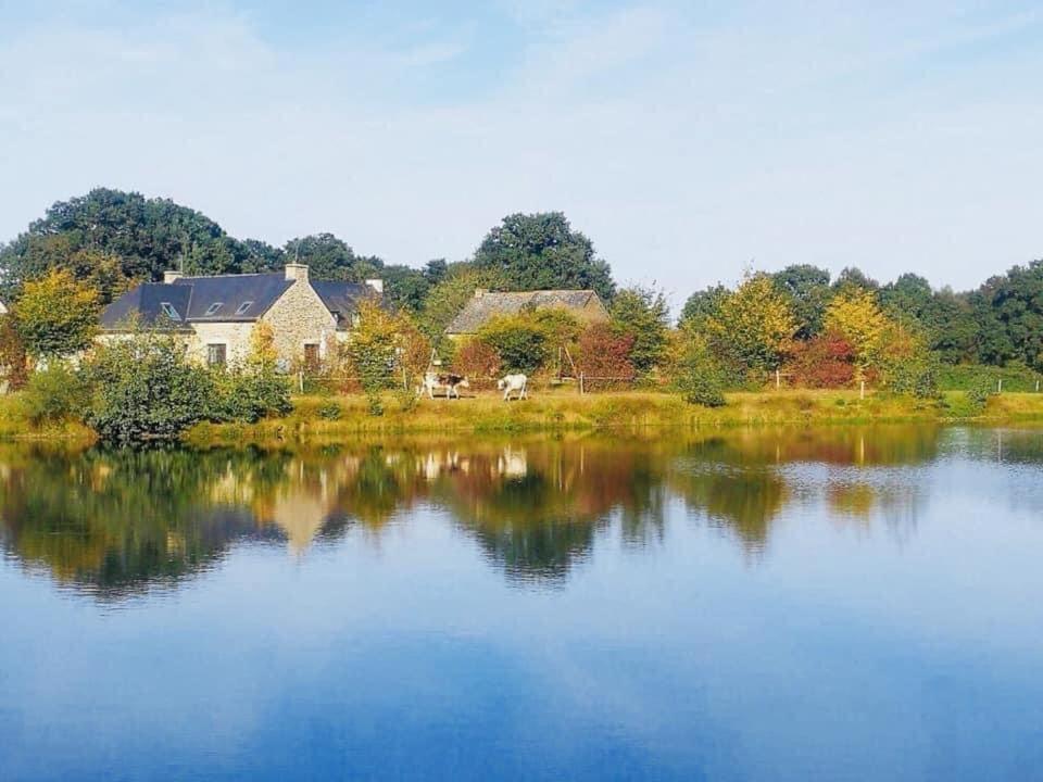 Au Petit Bonheur De Claire Et Jo Bed and Breakfast La Chapelle-Caro Exteriör bild